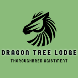 Dragon Tree Lodge